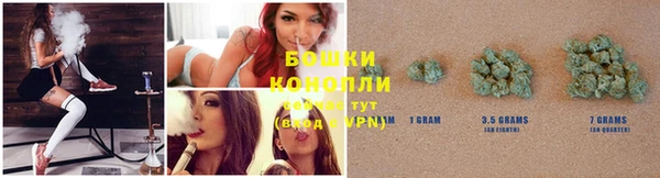 spice Богородск