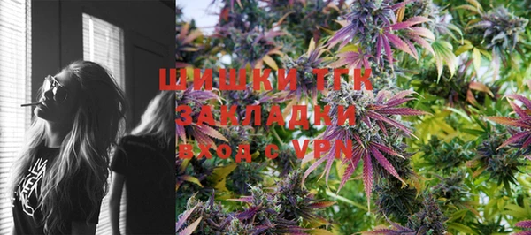 ПСИЛОЦИБИНОВЫЕ ГРИБЫ Богданович