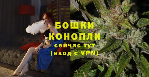 spice Богородск