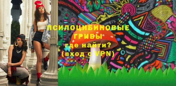 ПСИЛОЦИБИНОВЫЕ ГРИБЫ Богданович