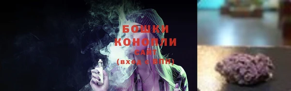ПСИЛОЦИБИНОВЫЕ ГРИБЫ Богданович