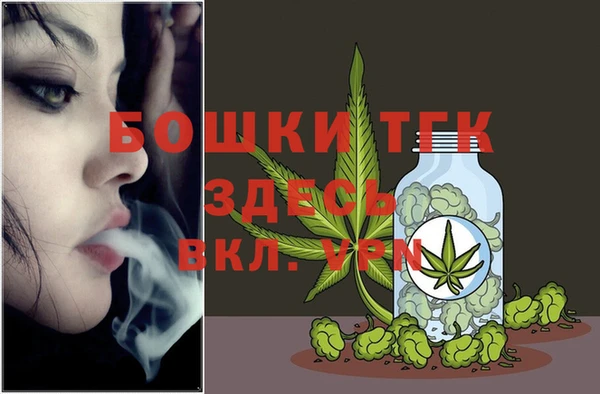 spice Богородск